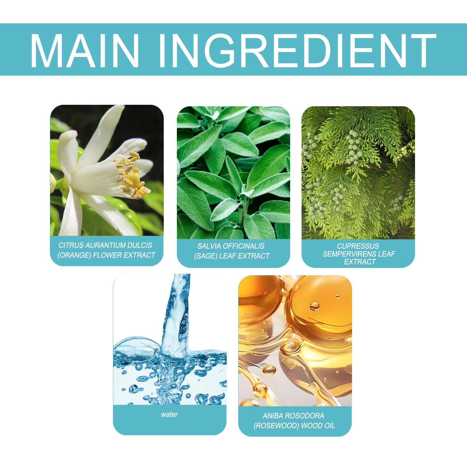 Parfum Charm Niche — Fragrance Douce & Naturelle, Portable & Longue Tenue