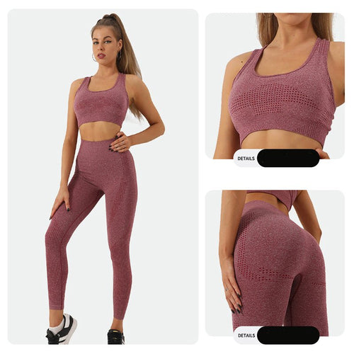2PCS Seamless Yoga Set Women Tracksuit High Waist Leggings Workout Sportswear Gym Clothing Fitness Crop Top Sports Suits Gym Set - SUKSU - selling