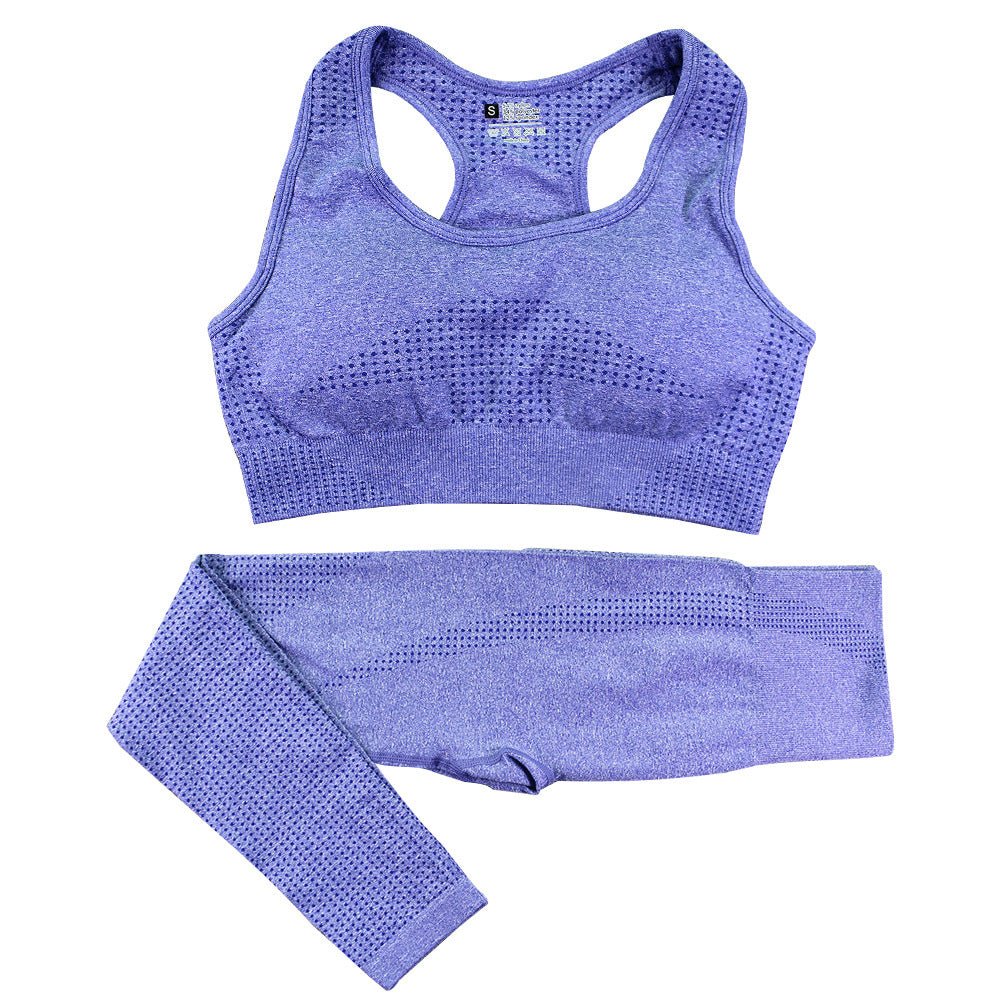 2PCS Seamless Yoga Set Women Tracksuit High Waist Leggings Workout Sportswear Gym Clothing Fitness Crop Top Sports Suits Gym Set - SUKSU - selling