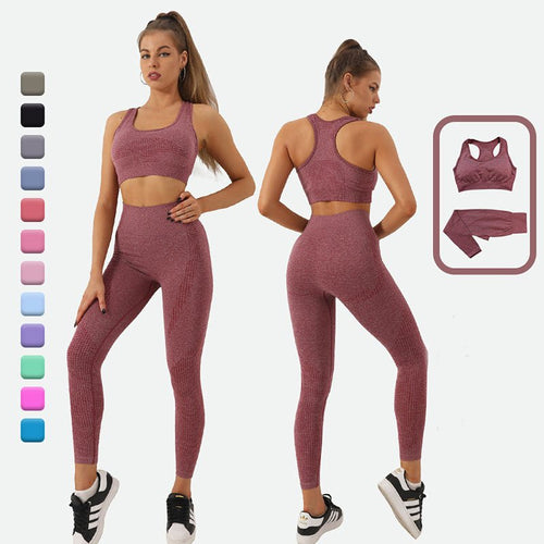 2PCS Seamless Yoga Set Women Tracksuit High Waist Leggings Workout Sportswear Gym Clothing Fitness Crop Top Sports Suits Gym Set - SUKSU - selling