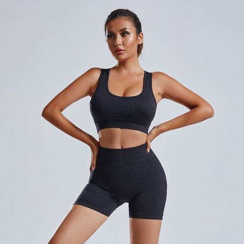 2pcs Yoga Set Women's Vest And Shorts Tracksuit Seamless Workout Sportswear Gym Clothing High Waist Leggings Fitness Sports Suits - SUKSU - selling