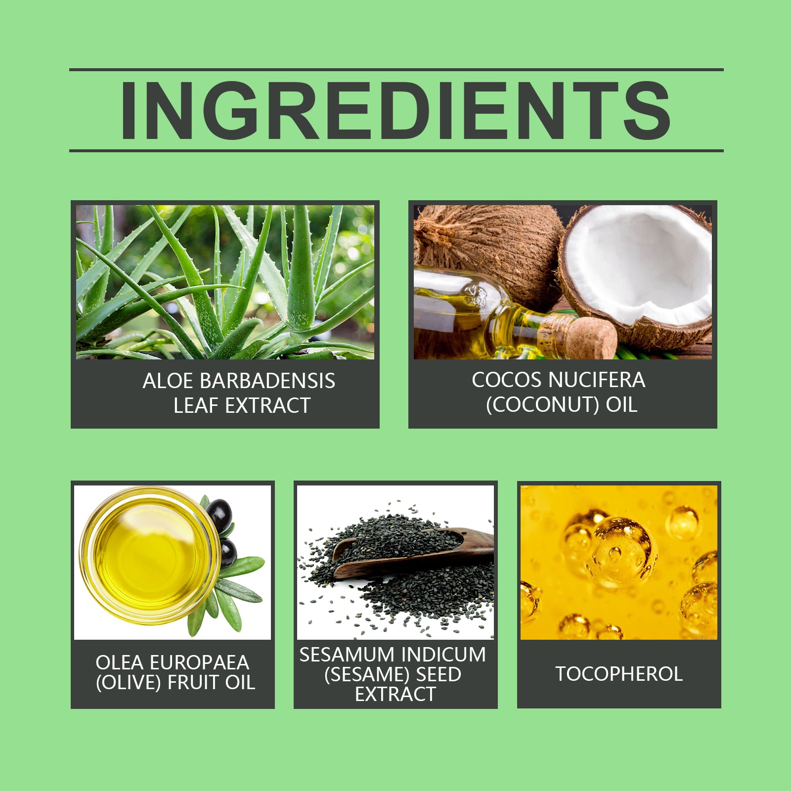 Savon Capillaire Aloe Vera & Huile Essentielle — Cuir Chevelu Propre, Léger & Nourri