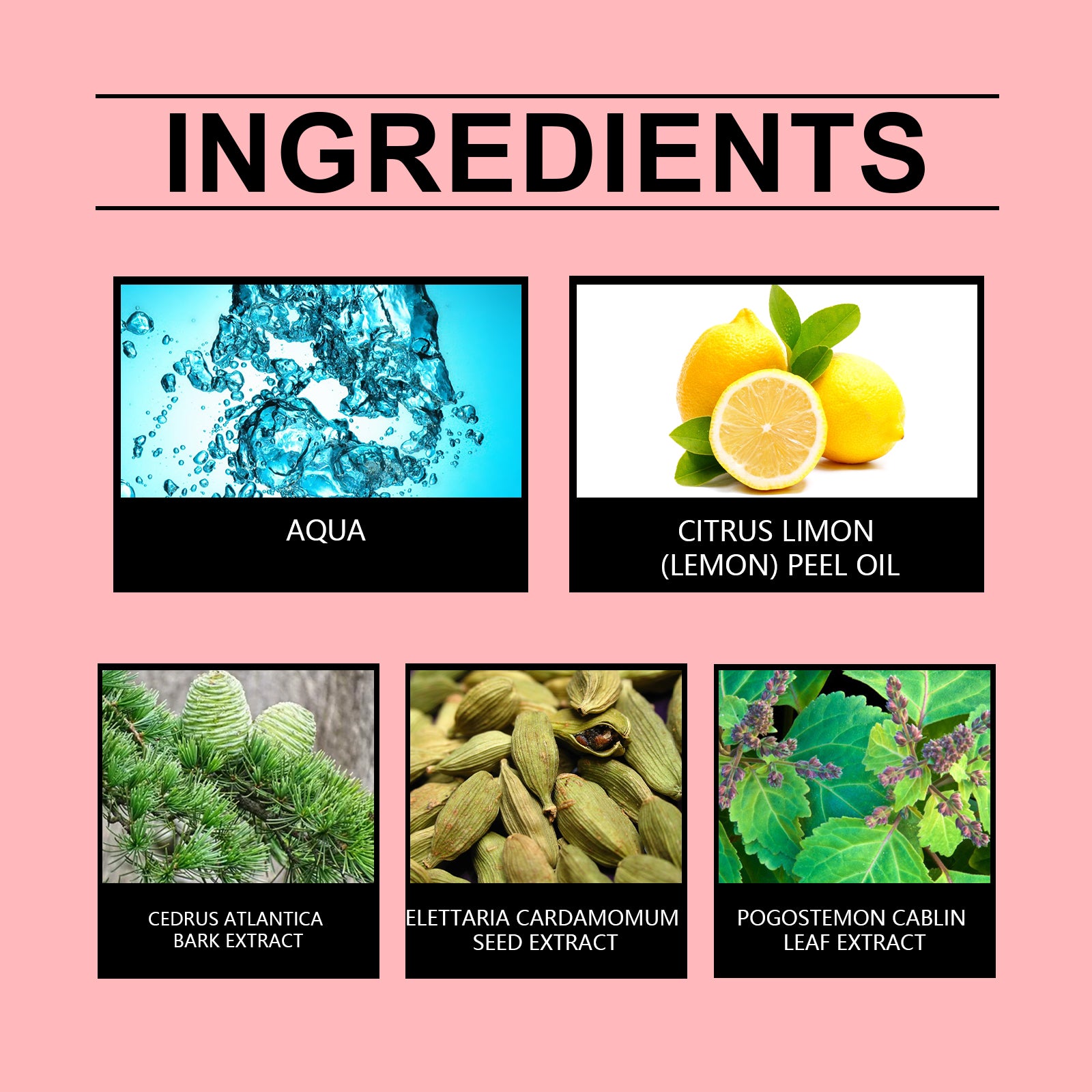 Parfum Cardamome & Citron — Riche, Unique & Charmant, Fragrance Niche