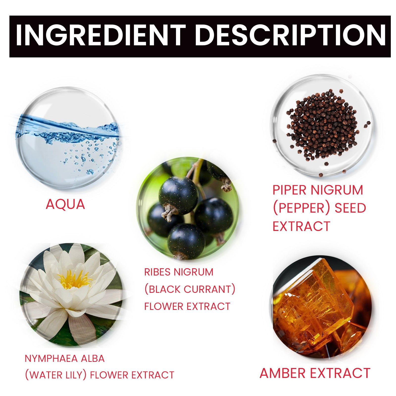 Parfum Phéromone Magnet Femme — Fragrance Élégante & Naturelle, Dating