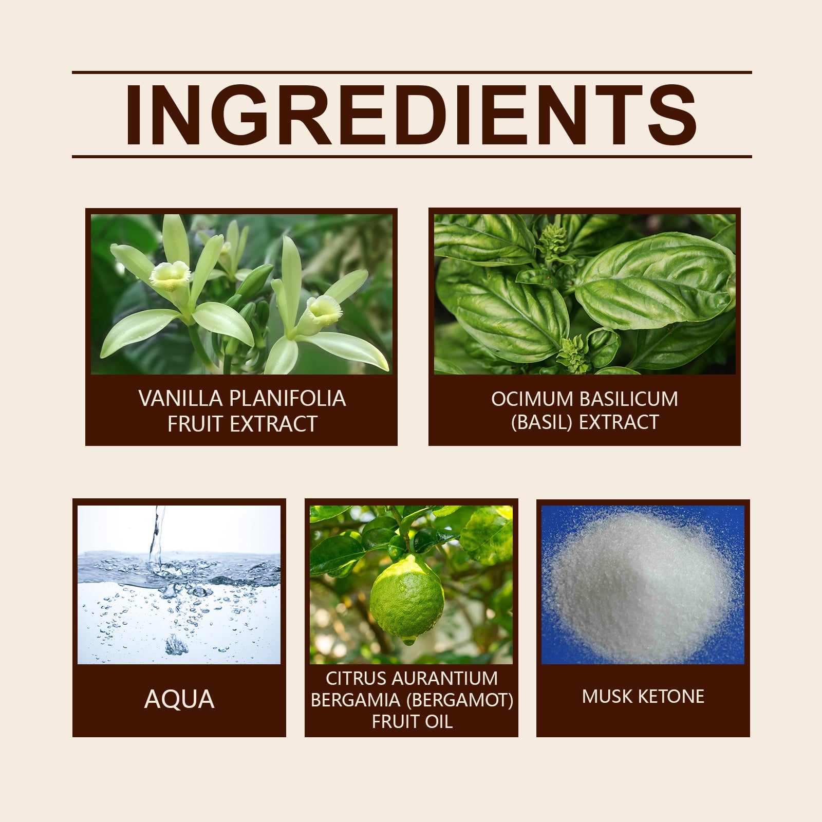 Parfum Vanille & Basilic Niche — Fragrance Douce, Légère & Longue Tenue, Dating