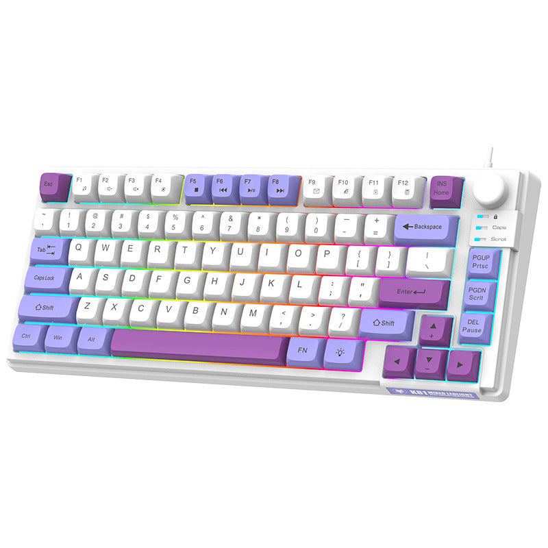Clavier Gaming Filaire K81 — RGB Tricolore MDA Keycaps