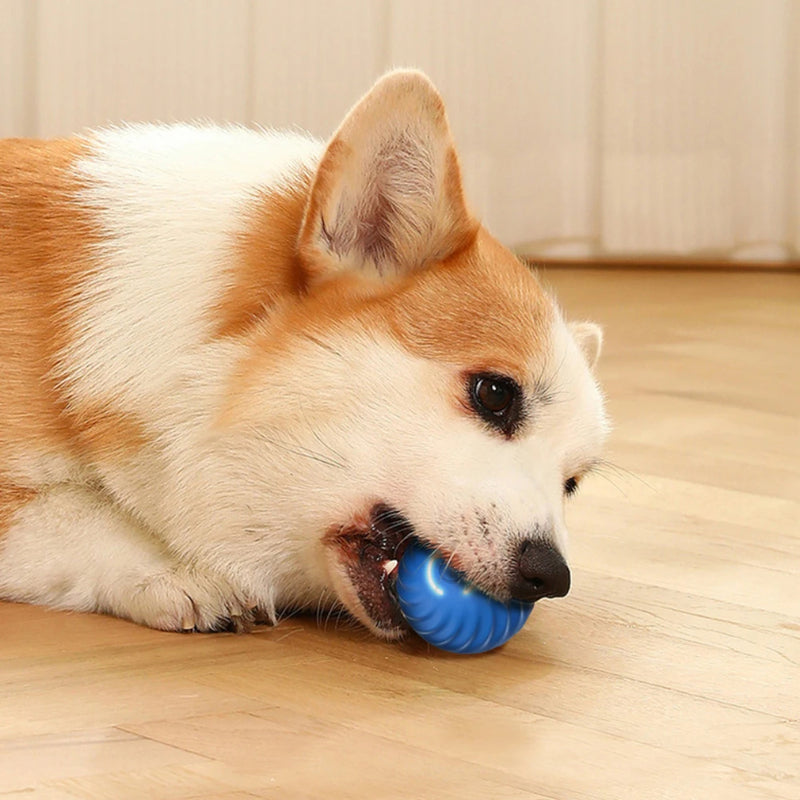 Balle Jouet Intelligente Chien — Interactive Électronique Rechargeable