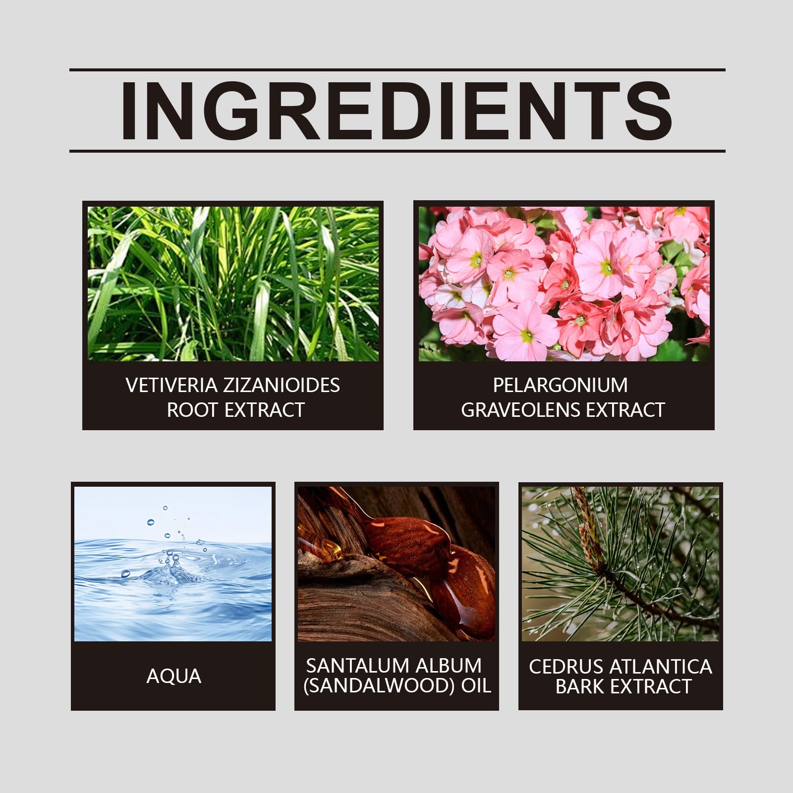 Parfum Niche Géranium Floral — Fragrance Unique, Légère & Élégante