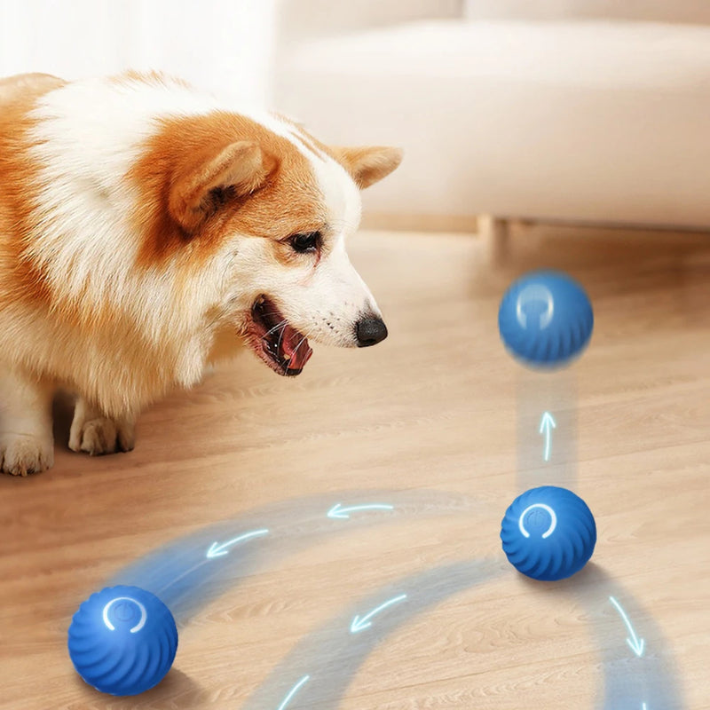 Balle Jouet Intelligente Chien — Interactive Électronique Rechargeable